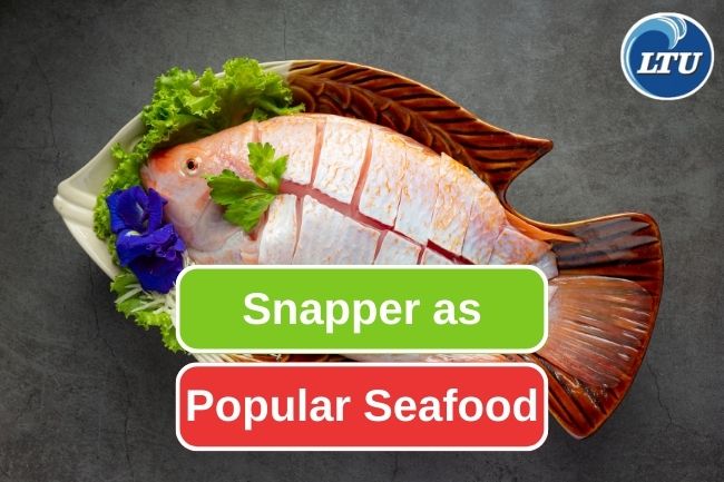 Snapper Versatility As A Popular Seafood